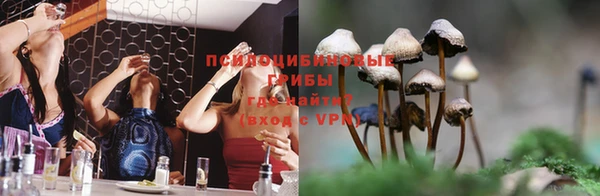 мдма Богородицк