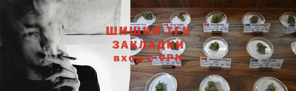 тгк Верея