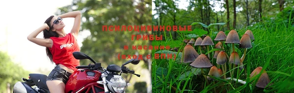 МДПВ Волоколамск