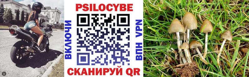 Галлюциногенные грибы GOLDEN TEACHER  Верхотурье 